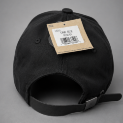 Boné Aba Curva Champion Script Logo - Strapback - Adulto
